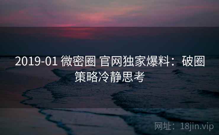 2019-01 微密圈 官网独家爆料：破圈策略冷静思考