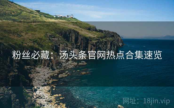 粉丝必藏：汤头条官网热点合集速览