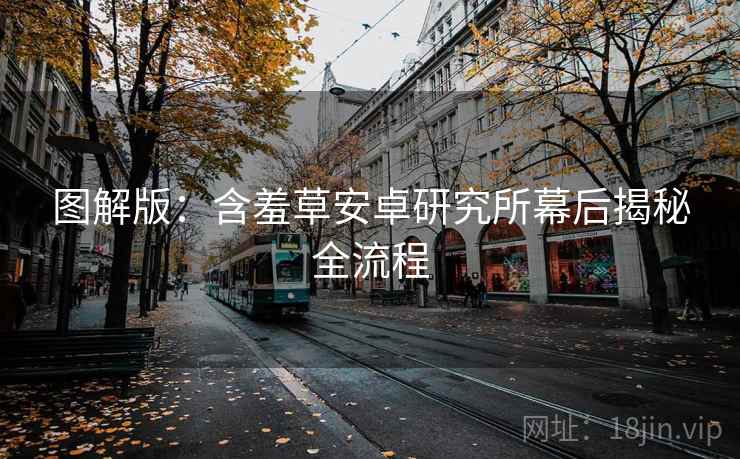图解版：含羞草安卓研究所幕后揭秘全流程