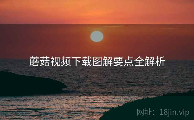 蘑菇视频下载图解要点全解析