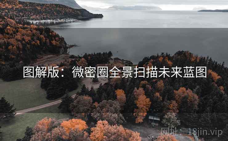 图解版：微密圈全景扫描未来蓝图