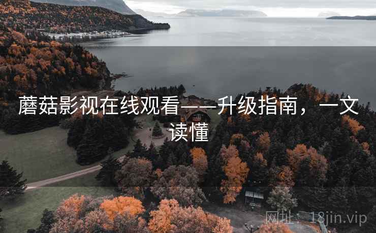 蘑菇影视在线观看——升级指南，一文读懂